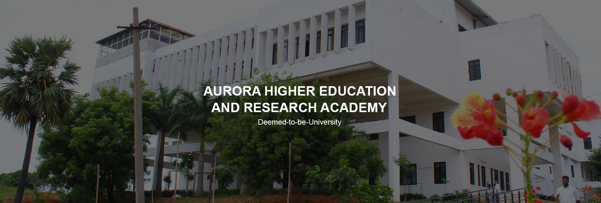 aurora-higher-education-research-academy