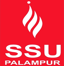 sri-sai-university